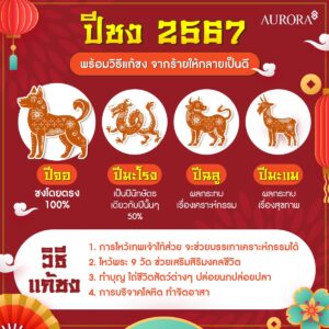 ปีชง